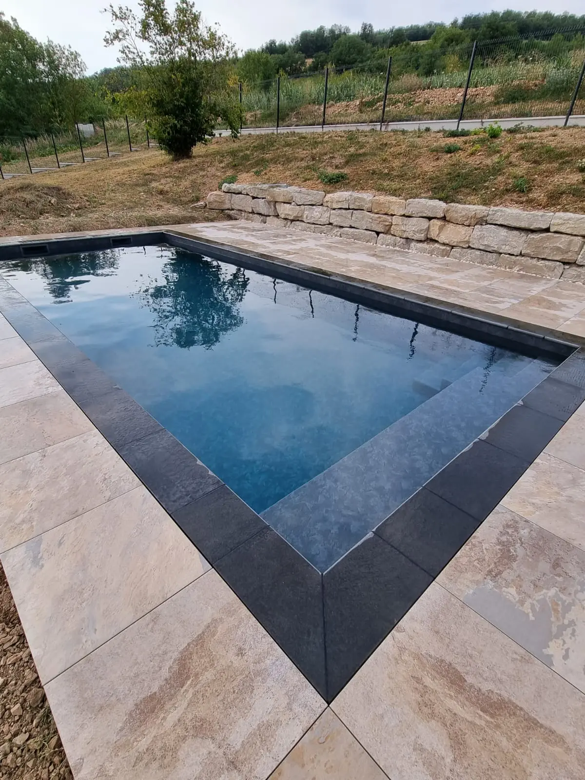 Piscine avec terrasse et jardin